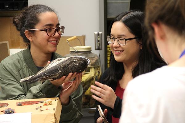 Undergraduate students examining falcon during biodiversity lab tour