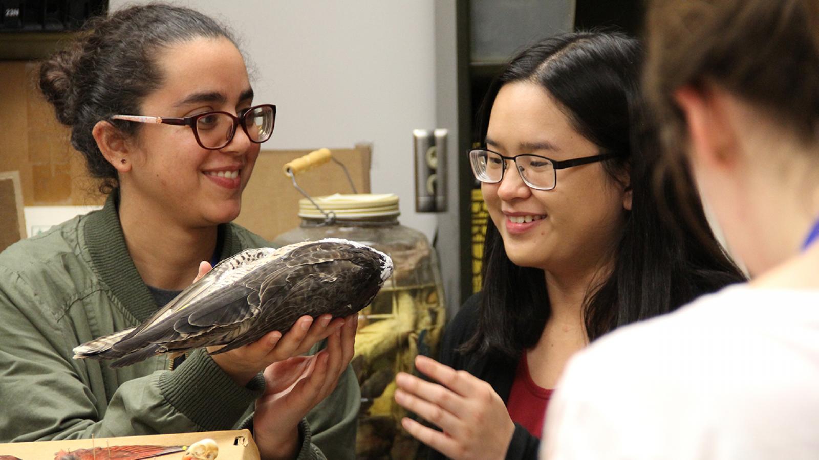 REU students visiting the Museum of Biological Diversity
